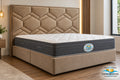 Cama Modelo Trenzado — Colección Confort